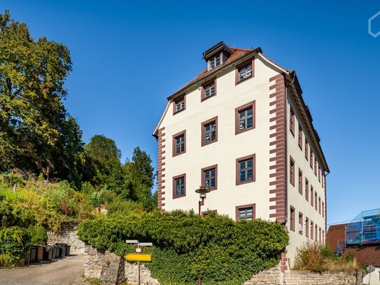 Apartment in Mühlen Castle