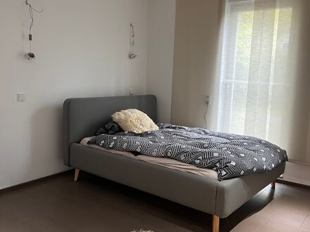 Charmantes Studio Apartment (Darmstadt)