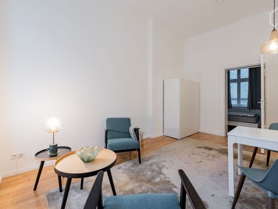 Mitten in Mitte, Berlin - Amsterdam Apartments for Rent