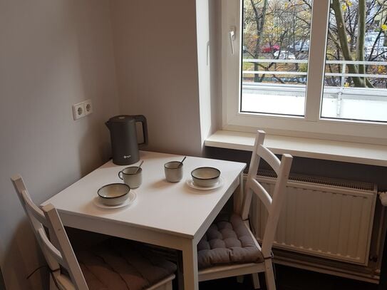 cosy brand new lovely renovated Altbau apartment