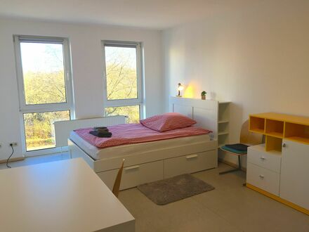 Helles 1-Zimmer Apartment nahe der Innenstadt | Bright 1-room apartment close to city center