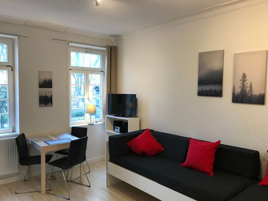 TOP-location! 2 room-apartment in historic town, private parking - university, clinics, Neckar, castle by foot