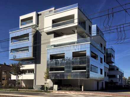 Preisgekrönte Luxuswohnung mit Autoaufzug und Terrassen | Award-Winning Luxury Apartment with Car Elevator and Terraces