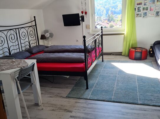 Cozy & pretty apartment in Frauenau