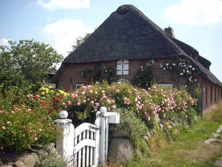 Neues und wunderschönes Zuhause mit schöner Aussicht | Lovely and quiet loft conveniently located