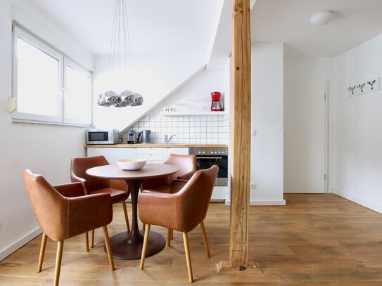 elegantly and modernly furbished apartment at Friesenplatz