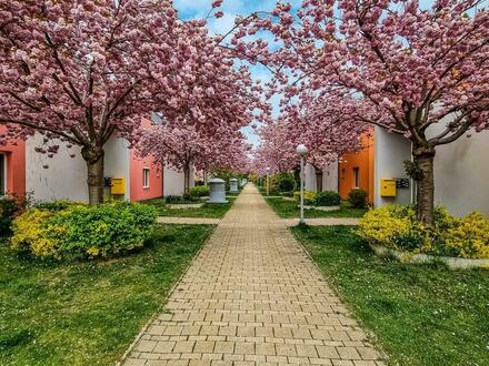 +++ WOHNHARMONIE FÜR FAMILIEN: WO DIE BLÜTEN SANFT DEN ALLTAG UMSPIELEN // 4-ZIMMER-WOHNUNG MIT DACHTERRASSE-PRIVILEG &…