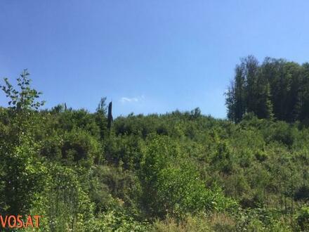 2 BAUBEWILLIGTE GRUNDSTÜCKE IN WEIDLINGBACH - SONNENSEITE