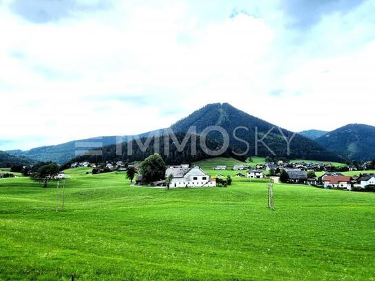 Landhaus mit Traumlage, Bergblick und vielen Möglichkeiten (Faistenau)