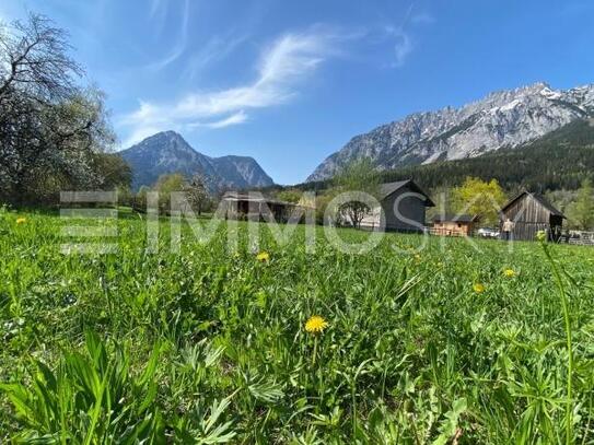 SONNIGES TRAUMPLATZERL MIT GRIMMING- KAMM- UND STODERBLICK