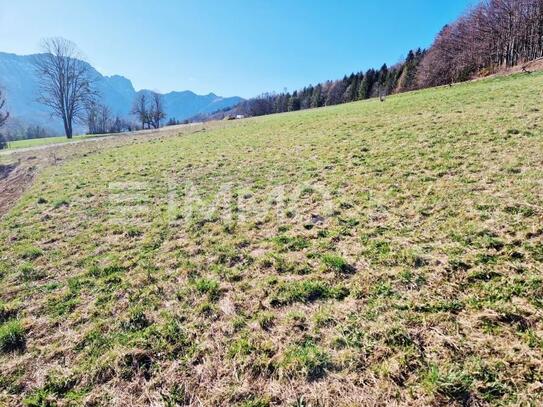 Nahe am Waldrand - herrliche Ruhelage mit fantastischem Bergpanorama