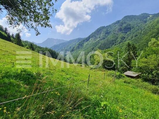 Fühlen sie sich täglich wie auf einer Alm!!