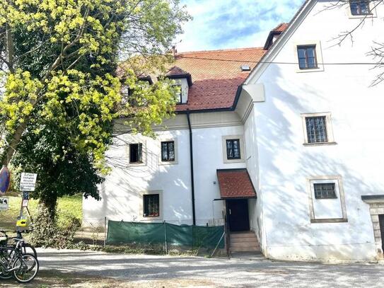 3-Zimmer-Wohnung im ehrwürdigen Wohngebäude mit Gemeinschaftsgarten