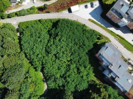 Perfekter Bauplatz in Viktring: Sonne, Ruhe und Bergblick inklusive