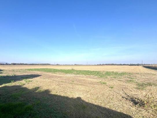 Sonniges Baugrundstück am Ende der Siedlungsstraße!