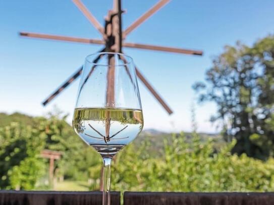 Wohnen in den südsteirischen Weinbergen - Top1