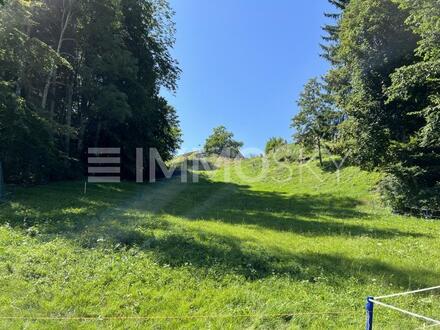 Rarität im Bregenzer Wald