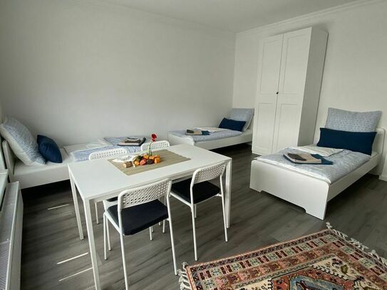 Quiet & modern suite (Hanau)