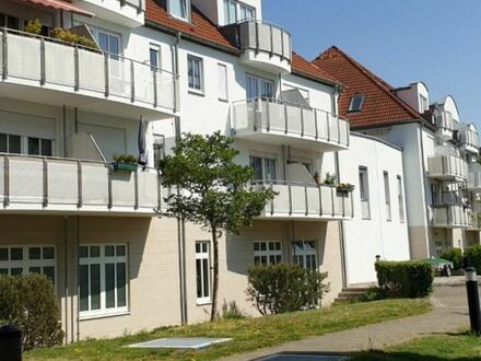 Hübsche 1-Zimmer-Wohnung mit Süd-Balkon in Coswig. - triapol Immobilien