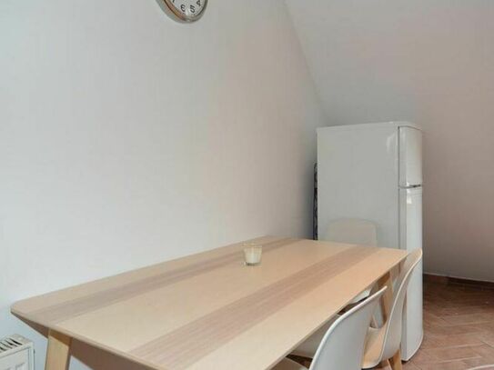 Furnished roof apartment with balcony in Prenzlauer Berg, Berlin