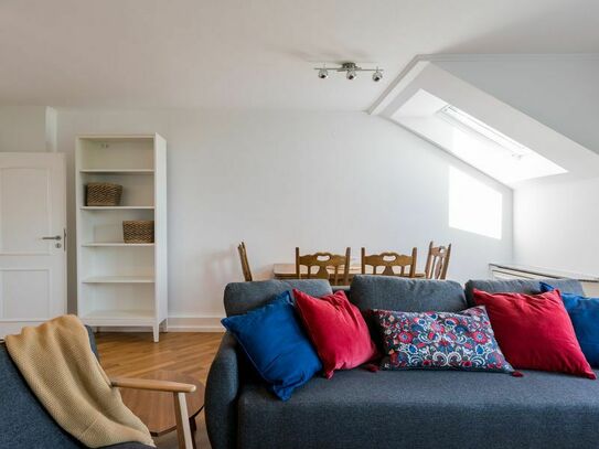 Stylish furnished apartment with large roof terrace in Berlin