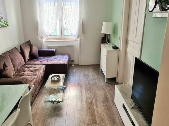 furnished 2-room apartment with WiFi, TV, balcony, bedroom, living room, shower / toilet, kitche...