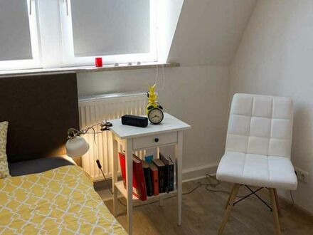 Spacious double bedroom with TV in Frankfurt