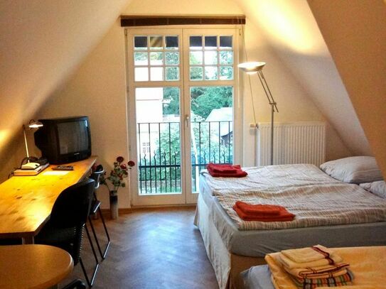 Small top roof apartment in Zehlendorf, Berlin - Amsterdam Apartments for Rent