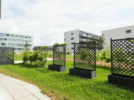 Provisionsfrei für den MIETER! Lenauterrassen - Neubau | 3-Zimmer-Wohnung mit riesigen Balkon zu vermieten!! (GRATIS UM…