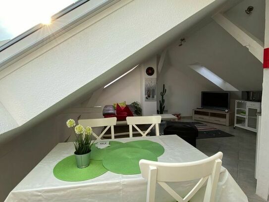 Bright, modern apartment including AC, Nurnberg - Amsterdam Apartments for Rent