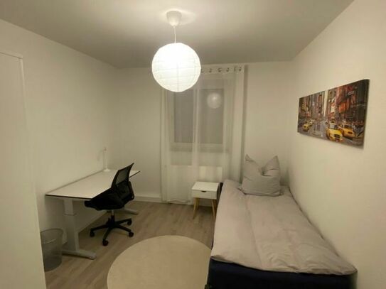 Newly renovated and modern furnished two bedroom apartment in central location