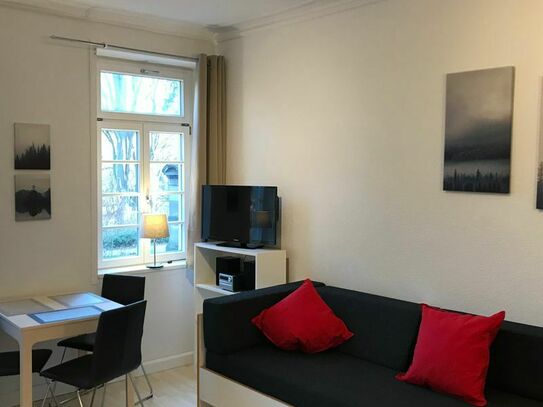 TOP-location! 2 room-apartment in historic town, private parking - university, clinics, Neckar, castle by foot