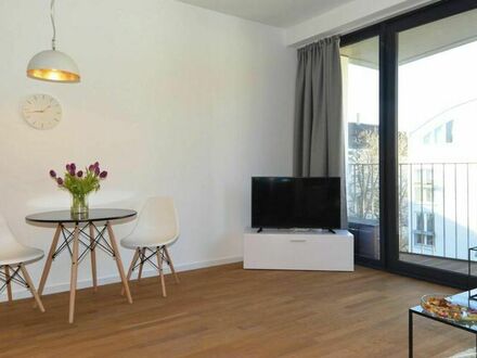 Modern furnished one bedroom apartment in Alt-Treptow