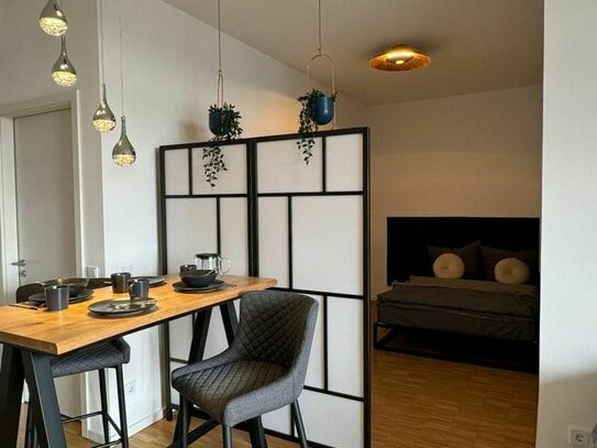 new Charming, beautiful 1BR located in Prenzlauer Berg