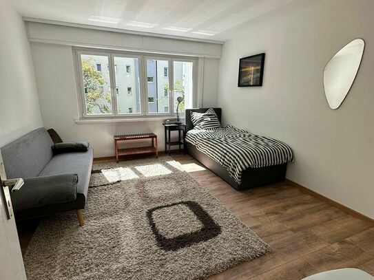 3-room flat with TV, WiFi, kitchen, shower/WC, furniture, washing machine and balcony, Stuttgart - Amsterdam Apartments…