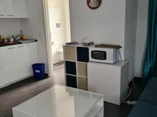 Full Furnished 1 Bedroom Apartment next to Patch barracks