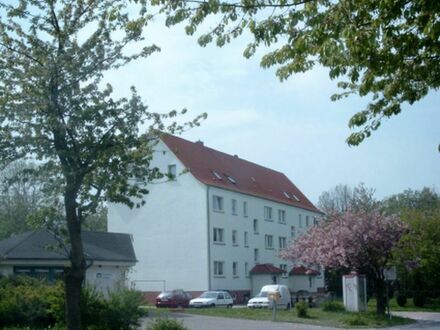 2 Raum Wohnung in Lüdershagen