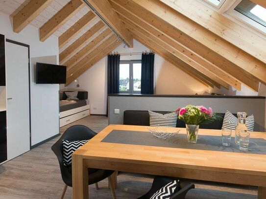 Premium vacation apartment "Dach-Loft" - quiet & great studio apartment in Bensheim
