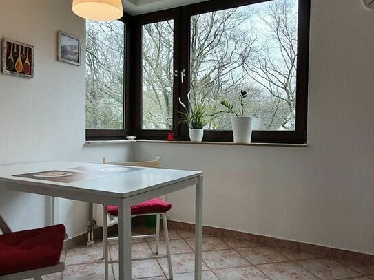 Charming apartment with 2 bathrooms near City on the forest, Dusseldorf - Amsterdam Apartments for Rent