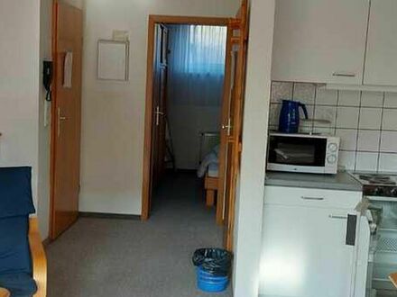 apartment / short-term rental / Salzgitter-Bad