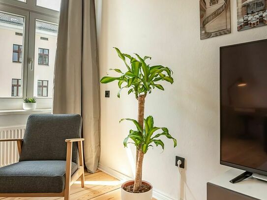 Newly renovated old building apartment in Charlottenburg, Berlin, Berlin - Amsterdam Apartments for Rent