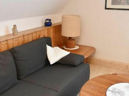 Davenstedt-Badenstedt-Empelde, Modern flat, 2 sep. bedrooms, suitable for allergy sufferers
