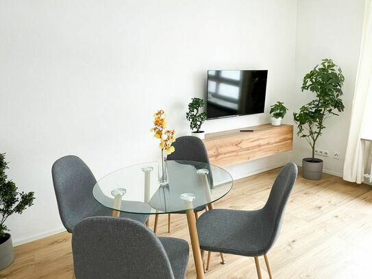 Stylish Business Apartment in Central Location (only 5 minutes from the main train station)