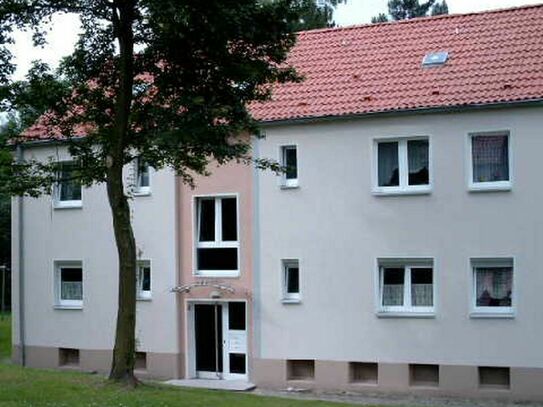 3-Zimmer Wohnung in Gerthe