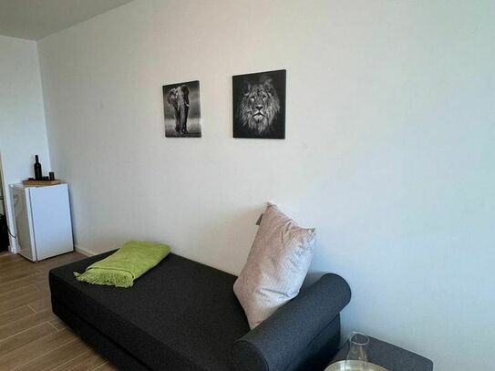 First occupancy! Newly furnished 1-room apartment with balcony in Laim