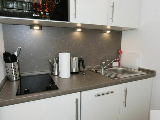 Modern furnished new renovated apartment with full equipment in high standard at the Nuremberg harbour area – euhabitat