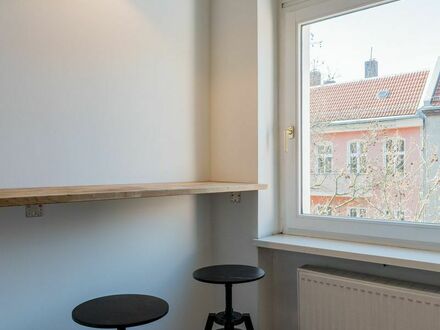 Wonderful apartment in Kreuzberg, FIRST TIME use after renovation