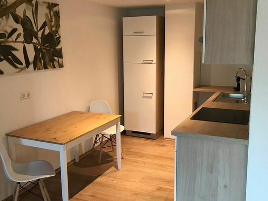 Newly renovated apartment on the Sonnenberg (Pforzheim)