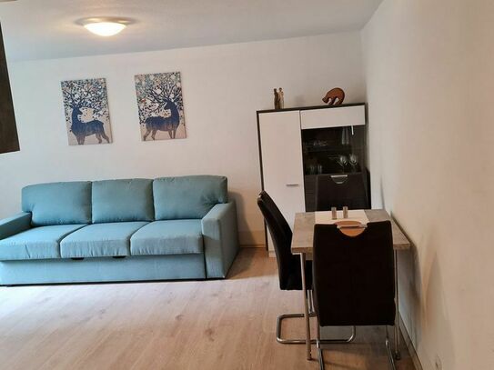 Garden - 2 Room, fully furnished, renovated appartment, Dusseldorf - Amsterdam Apartments for Rent