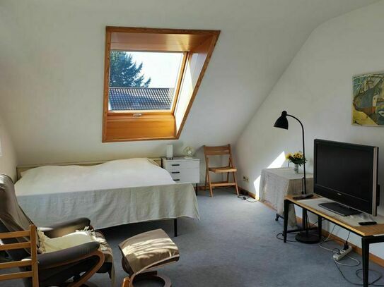Charming, fashionable apartment (Baden-Baden)